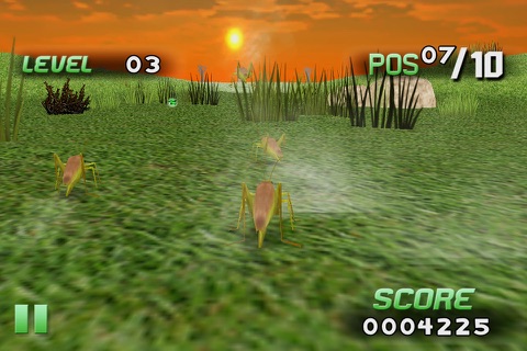 Insect Race screenshot 4