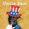 Uncle Sam 4th of July Independence Day Dress Up Photo Editor