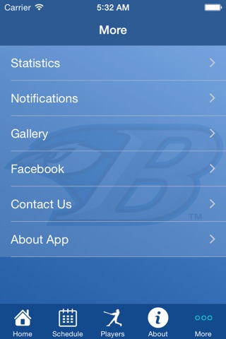 Bluefield Blue Jays screenshot 2