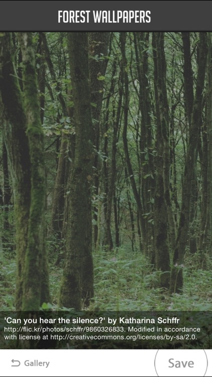 Forest Wallpapers screenshot-3
