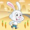 Bunny Carrot Run