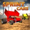 Sprint Car Dirt Track Game