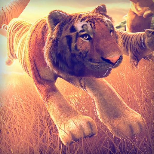 Tiger World | Free Tigers Simulator Racing Game For Kids