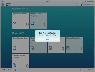 Captura de Pantalla 2 SAP Fiori Notifier iphone