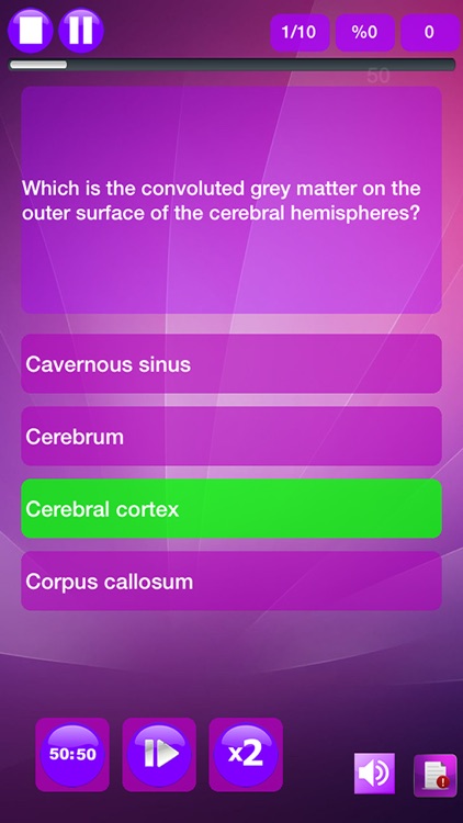 Human Nervous System Trivia Game