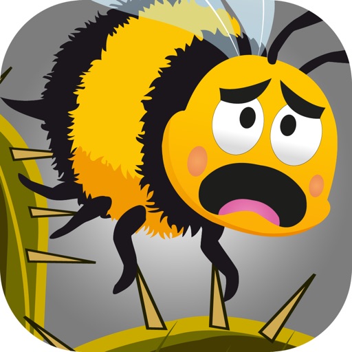 "A Dont Bounce off the Un-lucky Cactus - Flying Bee Spikes Jump-ing Adventure Challenge Free" iOS App