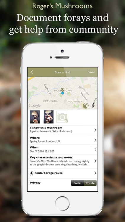 Roger's Mushrooms (Lite) screenshot-4
