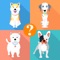Dog Breeds Quiz For Animal Lovers - Guess Most Popular Small,Hound & Large Dogs Breed Names
