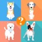Dog Breeds Quiz is a addictive dog quiz game for dog lovers & dog trainers