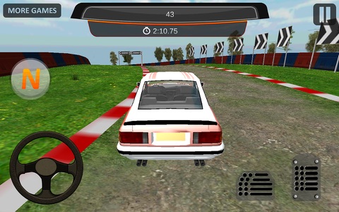 World Rally 3D Driver screenshot 4