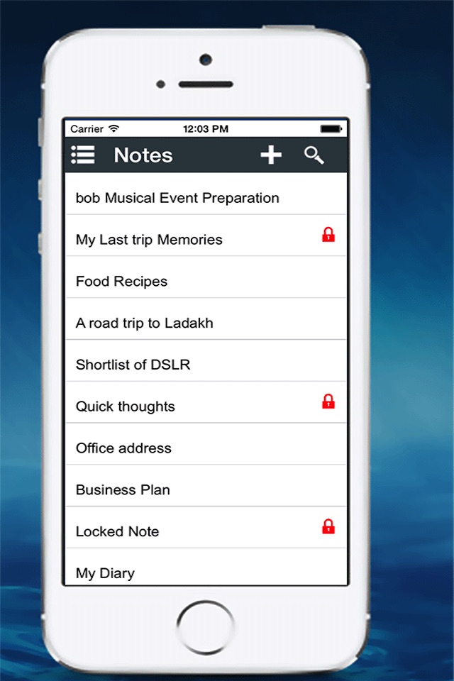 AIDE  MEMOIRE -  An All in One Genius Organizer screenshot 2