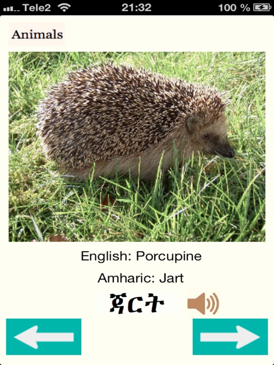 Animals in Amharic Audio