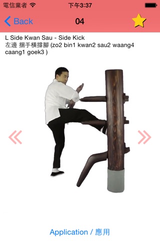 Wing Chun Kicking Dummy Form screenshot 2