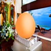 Paradise Egg