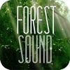 Forest Sound for Sleep and Meditation