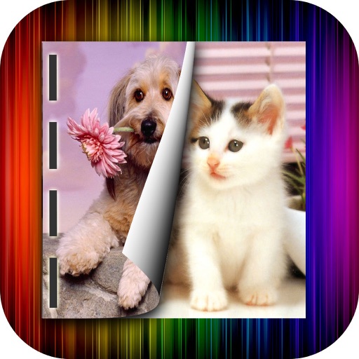 Best Dog Wallpapers+ for iPhone Swift: Customize Animal Background using Shelves and Frames icon