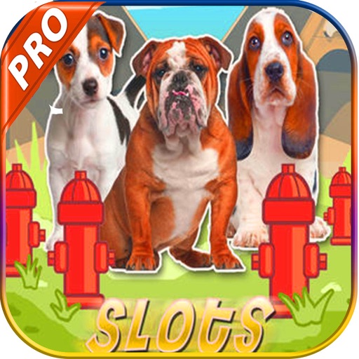 Classic Casino games Dog slots Casino : game HD ! iOS App