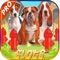 Classic Casino games Dog slots Casino : game HD !