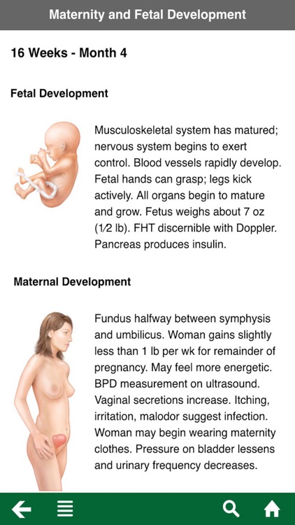 Maternity and Pediatric Nursing Reference App screenshot-3