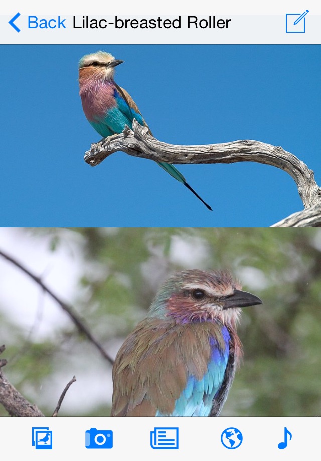 Sasol eBirds of the Kruger National Park screenshot 2