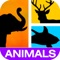 Guess It! Pic Animals Free Trivia Guessing Word Game – Unscramble the Hidden Wildlife and Domestic Farm Animal Puzzle Quizzes with Family and Friends!