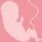With this App you always know what week of pregnancy you arrived