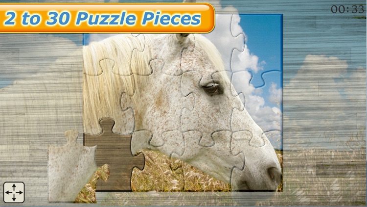 Mighty Horses - Real Horse Picture Puzzle Games for kids screenshot-3