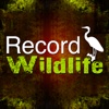 Record wildlife