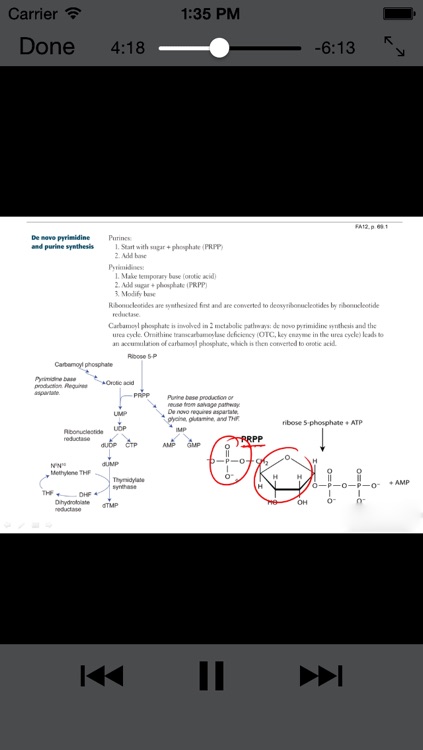 Learning USMLE screenshot-3