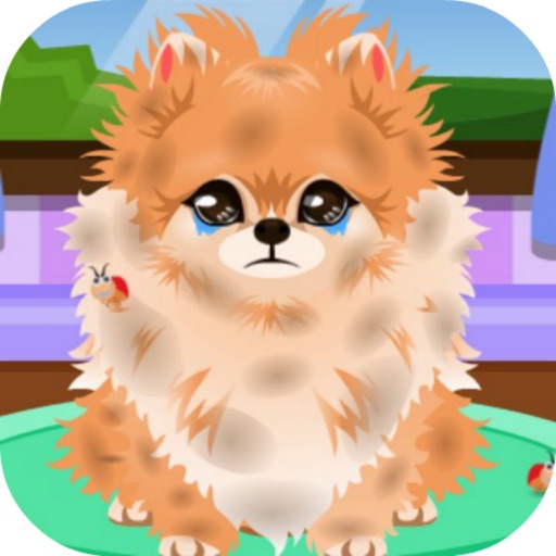 Puppy Groomer iOS App