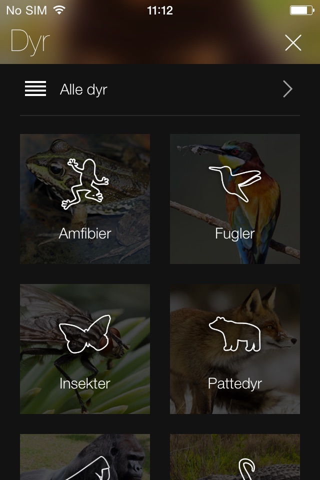 Animal Explorer: Sounds and Photos screenshot 2