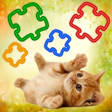 Activities of GFA Puzzle Cats