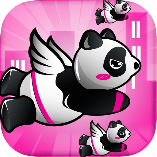 A Panda Wings - Free Avoid Collision Survival Adventure Game
