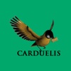 Carduelis