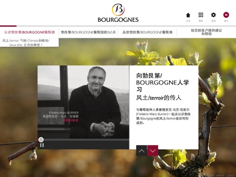 发现勃艮第/Bourgogne葡萄酒 screenshot 4