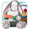 Baby Easter Bunny: Photo Montage