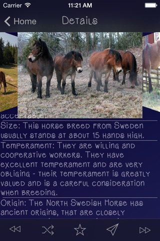 Horse Breeds Guide screenshot 3