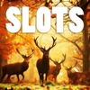 Autumn Animals - FREE Slots Game Big Wizard Bingo Casino