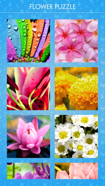 Jigsaw Puzzle - Flower screenshot-3