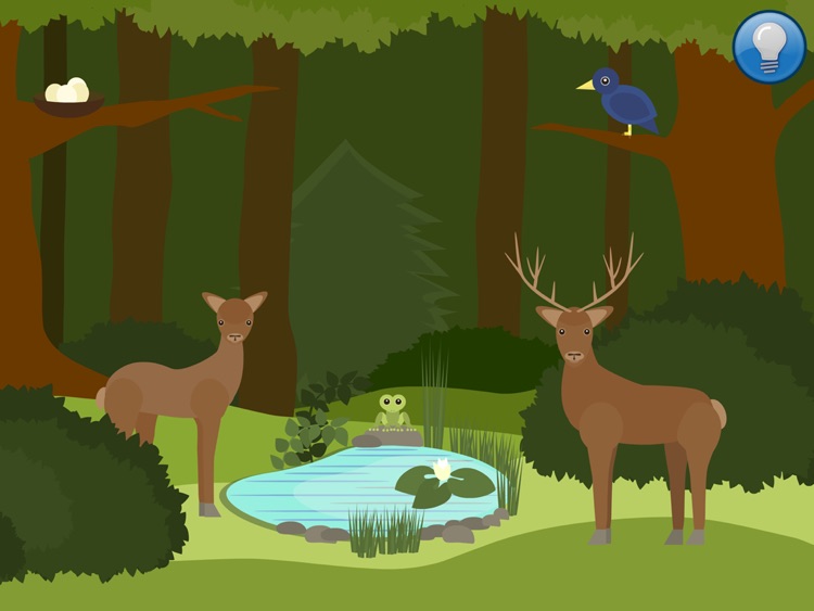 Animals for Toddlers Forest