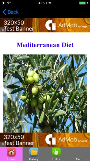 Mediterranean Diet Plan & Mediterranean 