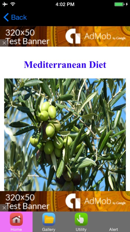 Mediterranean Diet Plan & Mediterranean Diet Recipes