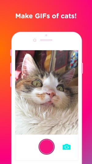 Looper — Super GIF Camera