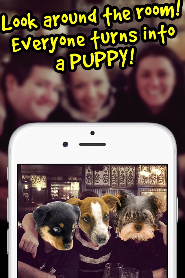 Puppygram - Turn Friends Into Puppy Dogs Instantly and more! screenshot 2