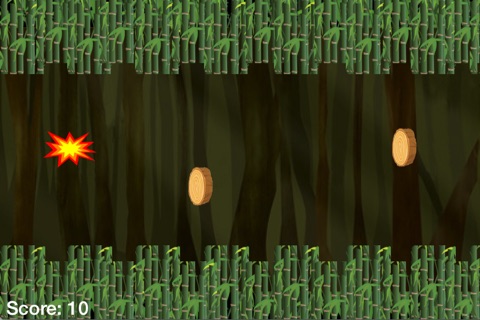 Crazy Koala screenshot 3