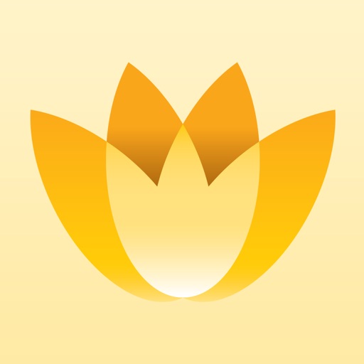 Magic Flowers - Visual Healing