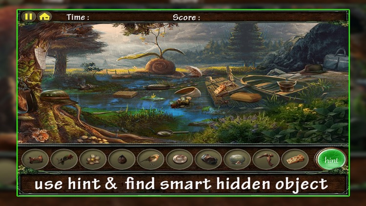 Hidden Object - Into The Forest Mysteries