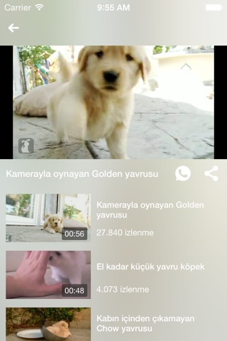 Yavru Köpek Videoları screenshot 4