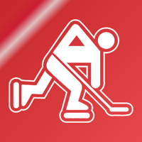 Name It - Detroit Hockey Edition