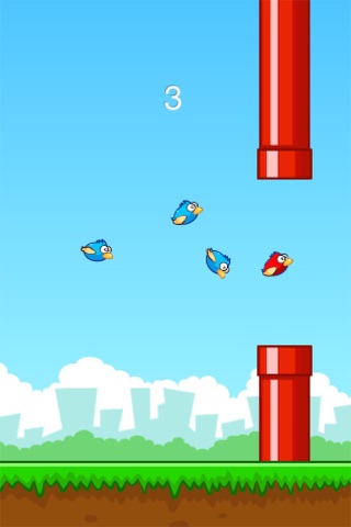 Fly Smash - Birds fly, squishy bird, smash them screenshot 4